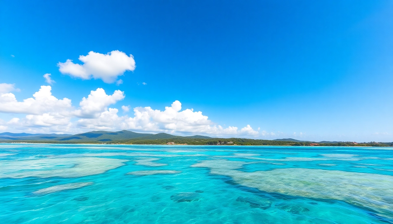Experience the stunning Great Barrier Reef in Australia with vibrant seas and lush coastlines.