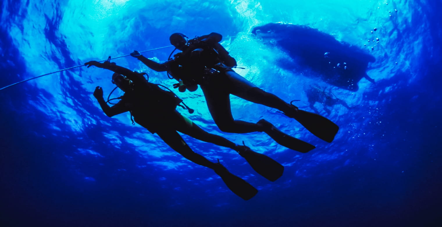 What to Expect on Cocos Island liveaboards in Costa Rica